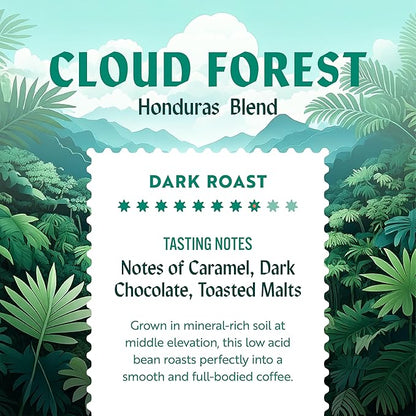 Clean Coffee Co. - Low Acid Dark Roast, Tested for Molds and Toxins, Honduras Blend, Notes of Caramel, Dark Chocolate, and Toasted Malts (Whole Bean, 12 oz Bag) (Pack of 2)