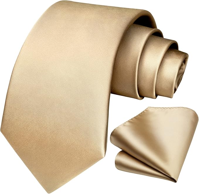 HISDERN Mens Solid Color Ties Formal Satin Necktie and Pocket Square Set Classic Wedding Business Tie & Handkerchief