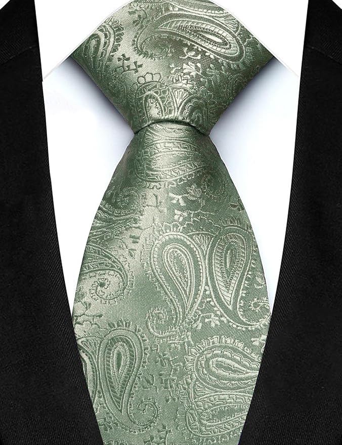 JEMYGINS Mens Paisley Tie and Lapel Pin Necktie Pocket Square and Tie Clip with Sets for Business Casual 4PCS