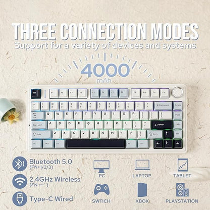 EPOMAKER x Aula F75 Gasket Mechanical Keyboard, 75% Wireless Hot Swappable Gaming Keyboard with Five-Layer Padding&Knob, Bluetooth/2.4GHz/USB-C, RGB (Light Blue, Crescent Switch)