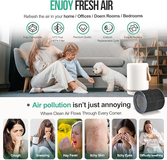 2 Pack Air Mini Replacement Filters Compatible with MolekuleAir Mini & Air Mini+ Air Purifiers, 3-in-1 High-Efficiency True HEPA Replacement Filter (Black, 2 Pack Replacement Filters)