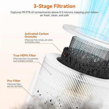 AIRROMI Air Purifiers for Bedroom Home,Up to 658 Ft²,Activated Carbon Filter Cleaner,With Fragrance Sponge for Better Sleep,Night Light,Pet Dander,Allergies,Smoke,Odor,Desktop Air Cleaner A2002Rainbow