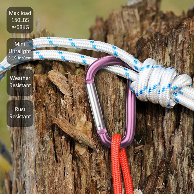 sprookber 3" Aluminum Carabiner D Ring, Caribeener Clips, Spring Snap Hook for Keychain Clip, Set of 10