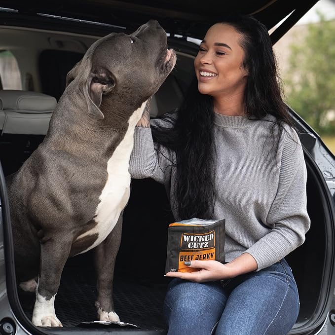Wicked Cutz Orange Teriyaki Beef Jerky, 24g Protein Per Bag, Tender & Easy to Chew Alternative to Teriyaki Beef Sticks, USA Made High Protein Carnivore Snacks (2 Bags)