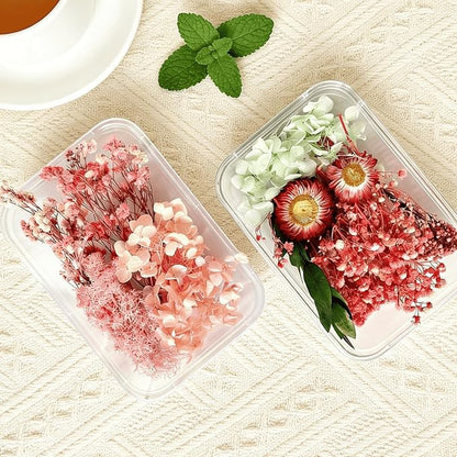 2PCS Dried Flowers Kit, Natural Dried Flowers Kit for DIY Crafts, Scrapbook, Card Making (Style_5_34)