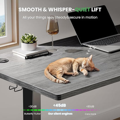 SIAGO Electric Standing Desk Adjustable - 48 x 24 Inch Sit Stand up Desk with Cable Management - 3 Memory Preset Adjustable Height Table