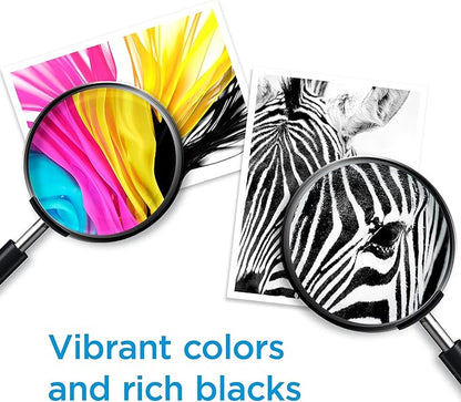 HP 910XL Yellow High-yield Ink Cartridge for HP Printers | Works with Printer Series: OfficeJet 8010, 8020, Pro 8020, 8030 | Eligible for Instant Ink | 3YL64AN