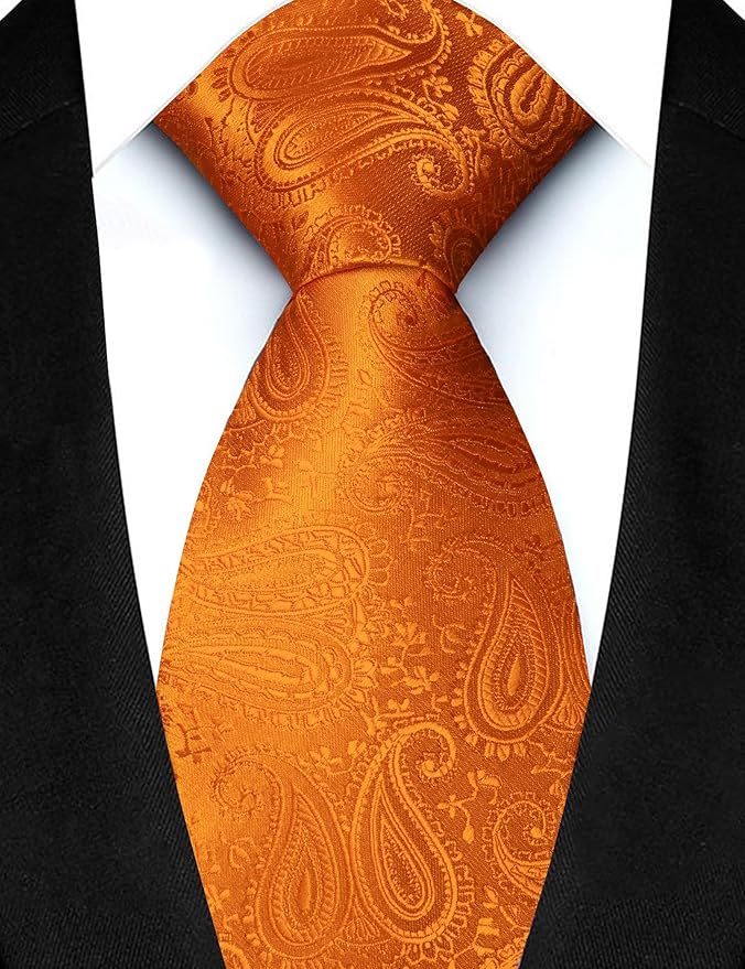 JEMYGINS Mens Paisley Tie and Lapel Pin Necktie Pocket Square and Tie Clip with Sets for Business Casual 4PCS