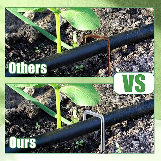 500 Pack Landscape Staples 6 Inch, 11 Gauge Galvanized Steel Garden Stakes, U-Shaped Landscape Pins, Heavy Duty Garden Ground Stakes for Securing Weed Fabric Landscaping Fabric