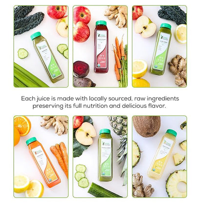 RAW Fountain 7 Day Juice Cleanse, Certified USDA Organic, All Natural Raw Detox Cleanse, Juicing for Body Reset, Cold Pressed Juice Fast, 42 Bottles 12oz, 7 Ginger Shots