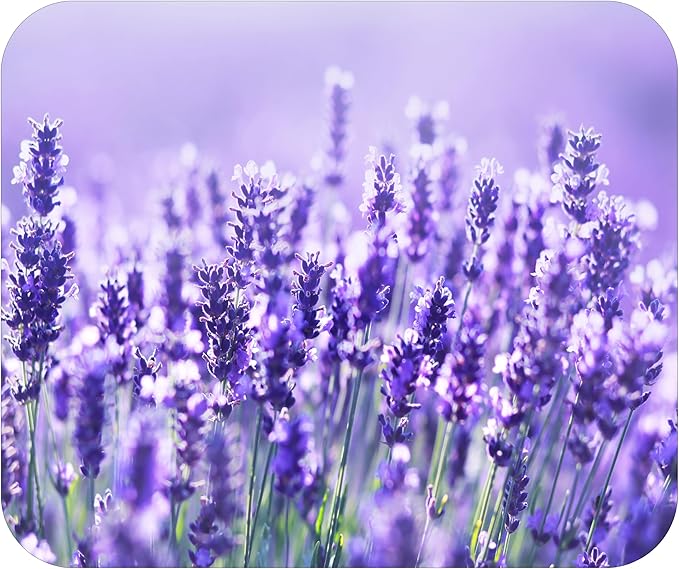 Floral Pattern Flower Mouse Pad Mat Mousepad for Desk Computer Laptop PC Gaming Home or Office Gift for Her Flowers (Lavendar MP105)