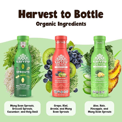 Karviva Organic Juice Cleanse for Sugar Detox & Weight Control - Ancient Eastern Remedies for Healthy Digestion & Gentle Detox with Sprouts, Aloe Vera - Prebiotic Fiber, Electrolytes & Antioxidants (6 BPA-Free Bottles, 12 fl oz Each)