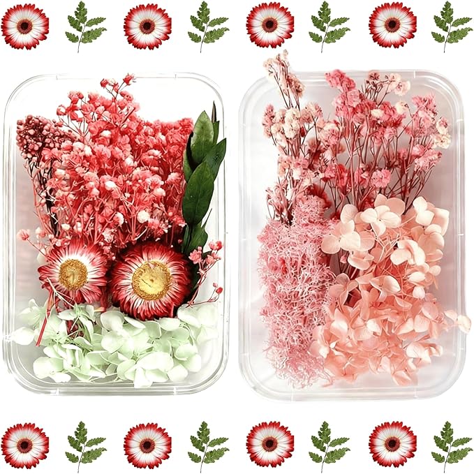 2PCS Dried Flowers Kit, Natural Dried Flowers Kit for DIY Crafts, Scrapbook, Card Making (Style_5_34)