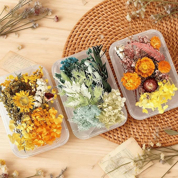 2PCS Dried Flowers Kit, Natural Dried Flowers Kit for DIY Crafts, Scrapbook, Card Making (Style18_24_27)
