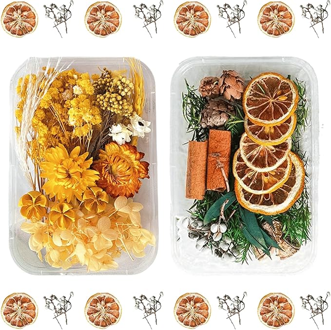 2PCS Dried Flowers Kit, Natural Dried Flowers Kit for DIY Crafts, Scrapbook, Card Making (Style6_10)