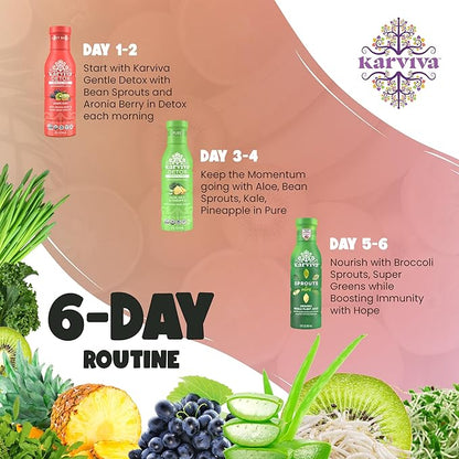 Karviva Organic Juice Cleanse for Sugar Detox & Weight Control - Ancient Eastern Remedies for Healthy Digestion & Gentle Detox with Sprouts, Aloe Vera - Prebiotic Fiber, Electrolytes & Antioxidants (6 BPA-Free Bottles, 12 fl oz Each)