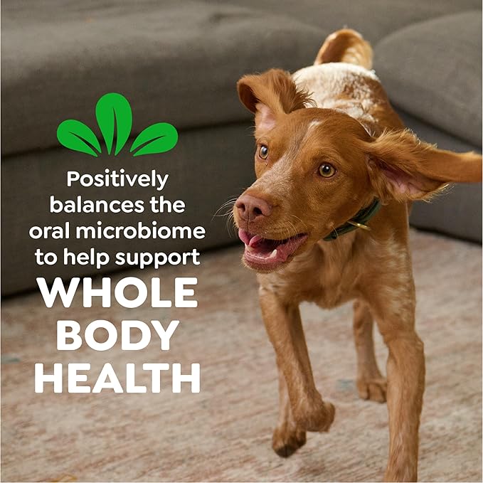Greenies Veterinarian-Recommended Natural Dental Dog Treats Regular Size, Original Flavor, 27 oz. Pack, 96 Count