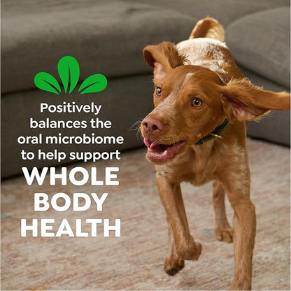 Greenies Veterinarian-Recommended Natural Dental Dog Treats Regular Size, Original Flavor, 27 oz. Pack, 96 Count