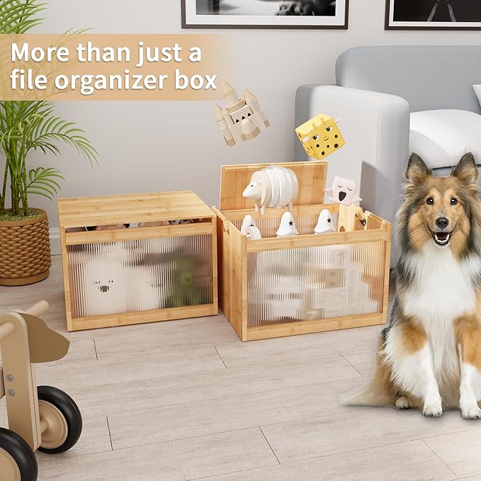 Bamboo Hanging File Boxes with Lids 2 Pack, File Organizer Box for Letter/Legal File, File Box with Hanging Folders Acrylic Light Easy Assembly File Storage Boxes for Home Office, Natural
