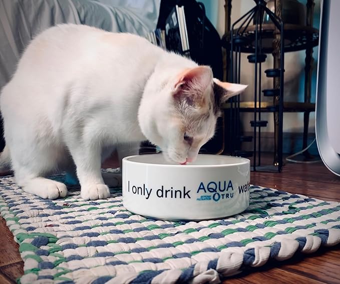 AquaTru Carafe Smart | Countertop Water Purifier for PFAS and Other Contaminants with Exclusive 4-Stage Ultra Reverse Osmosis Technology (No Plumbing or Installation Required) | BPA Free