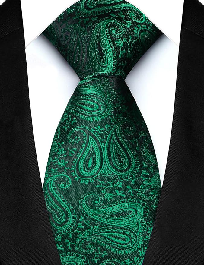 JEMYGINS Mens Paisley Tie and Lapel Pin Necktie Pocket Square and Tie Clip with Sets for Business Casual 4PCS