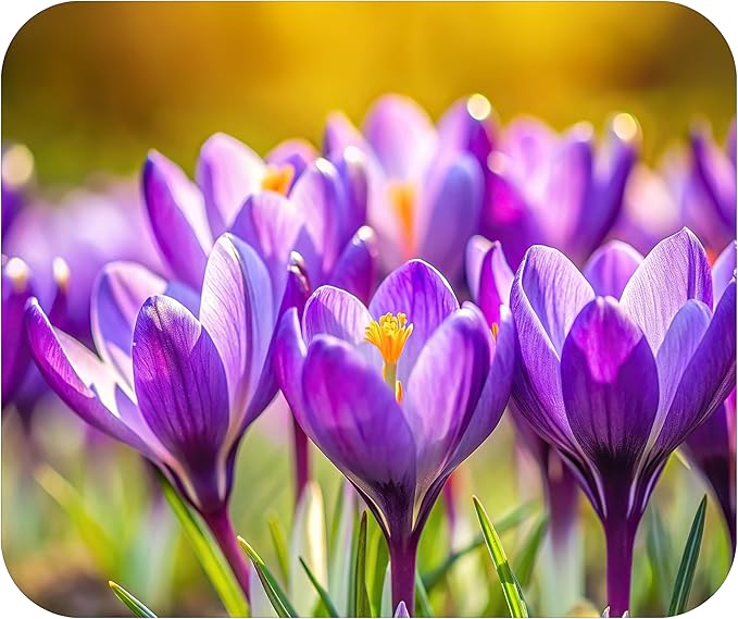 Floral Pattern Flower Mouse Pad Mat Mousepad for Desk Computer Laptop PC Gaming Home or Office Gift for Her Flowers (Purple Tulips MP101)
