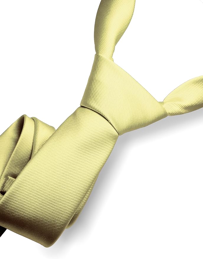 RBOCOTT Solid Color Tie Formal Necktie for Men