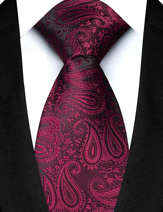 JEMYGINS Mens Paisley Tie and Lapel Pin Necktie Pocket Square and Tie Clip with Sets for Business Casual 4PCS