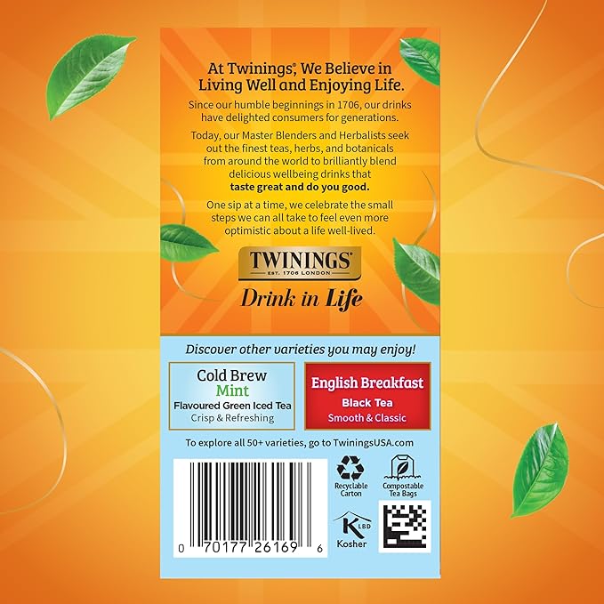 Twinings Mixed Berries Cold Brew Iced Tea Bags, 20 Count (Pack of 6), Unsweetened Flavoured Black Tea, Caffeinated, 120 Teabags
