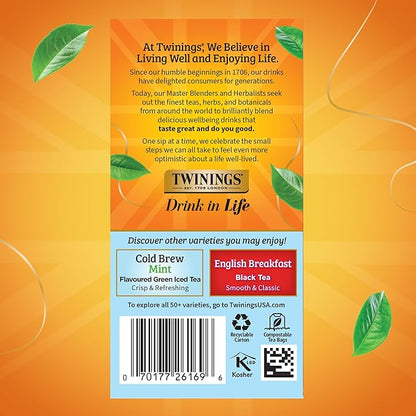 Twinings Mixed Berries Cold Brew Iced Tea Bags, 20 Count (Pack of 6), Unsweetened Flavoured Black Tea, Caffeinated, 120 Teabags