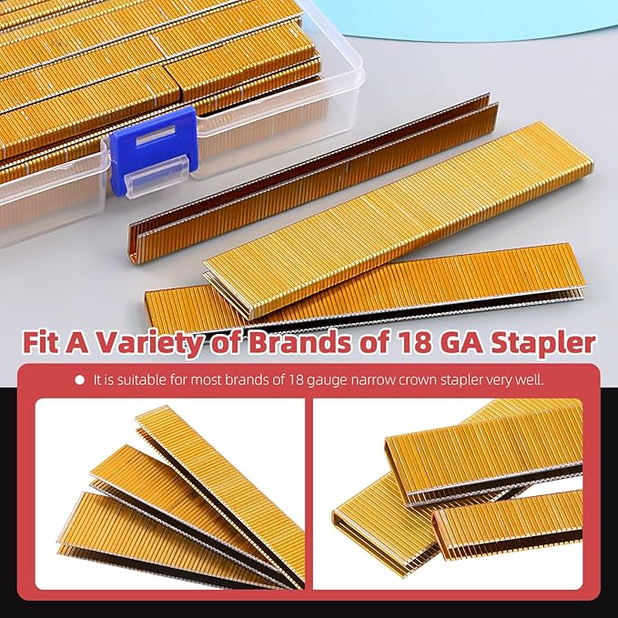 Hilitchi 2000Pcs 1/2 Inch 18 Gauge Narrow Crown Staples, Gold Brad Nails Gun Nails 18 Gauge Galvanized Finish Staples with Storage Case