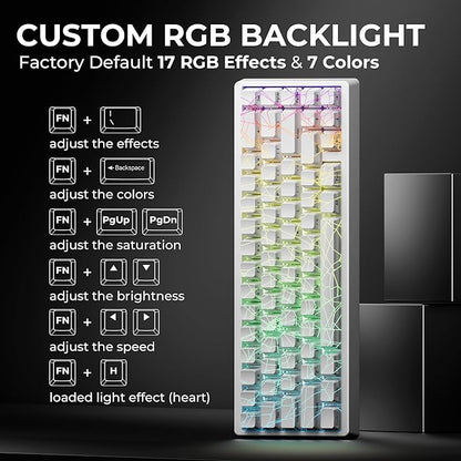 x XVX M67 Wireless 60% Percent Keyboard, QMK/VIA Gaming Keyboard, Tri-Mode Thocky Creamy Mechanical Key Board, Hot Swappable Gasket Mount RGB IMD Tech for Win/Mac, Spider Web Theme, White