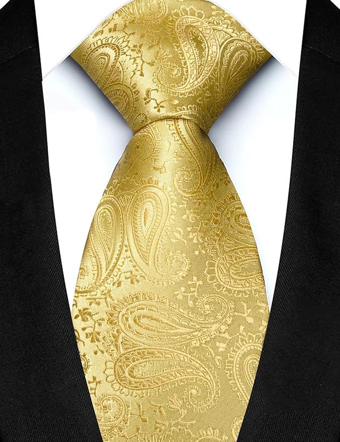 JEMYGINS Mens Paisley Tie and Lapel Pin Necktie Pocket Square and Tie Clip with Sets for Business Casual 4PCS
