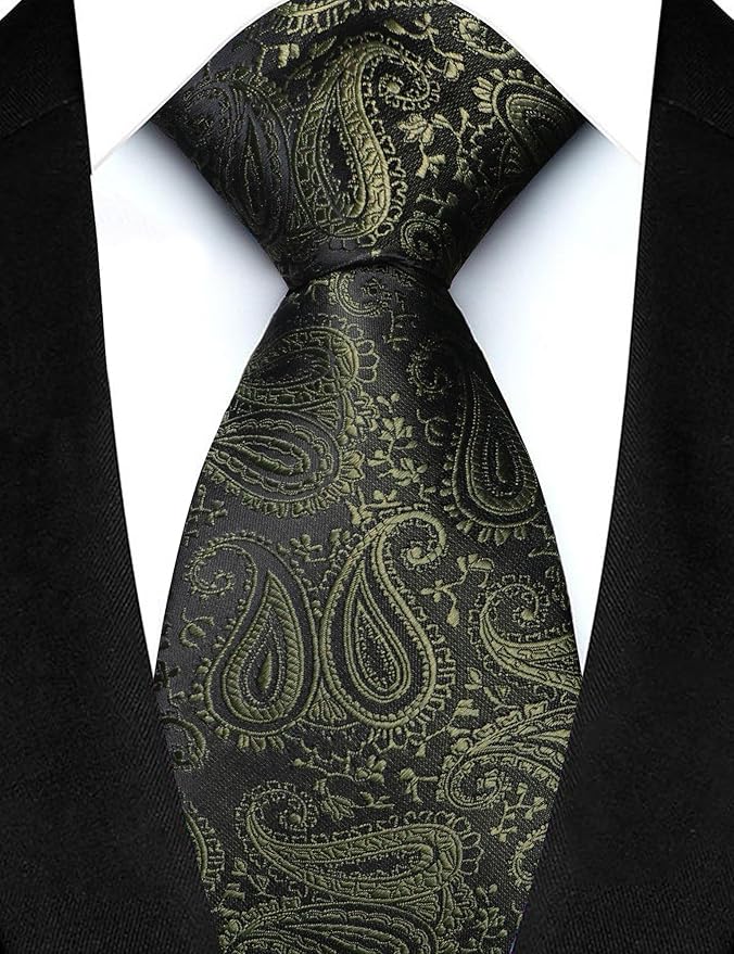 JEMYGINS Mens Paisley Tie and Lapel Pin Necktie Pocket Square and Tie Clip with Sets for Business Casual 4PCS
