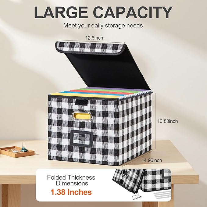 Collapsible File Box with Lid & Plastic Slide - Hanging Document Organizer for Office/Home, 14.96x12.6x10.83 Inch,Black and White Lattice, 2 Pack (No Folders Included)