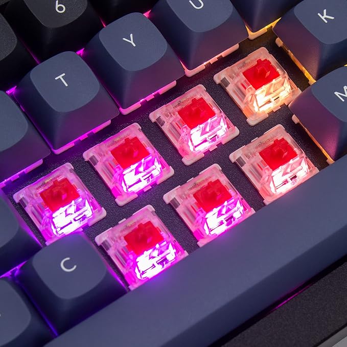 Keychron Q4 Wired Custom Mechanical Keyboard, 60% Layout QMK/VIA Programmable Macro with Hot-swappable Gateron G Pro Red Switch Double Gasket Compatible with Mac Windows Linux (Black)