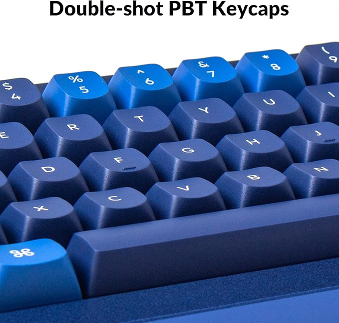 Keychron Q2 Wired Custom Mechanical Keyboard, QMK/VIA Programmable Macro, Full Aluminum, Hot-Swappable Gateron G Pro Red Switch, 65% Layout Double Gasket Compatible with Mac and Windows - Blue