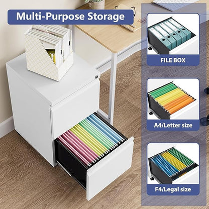 2 Drawer File Cabinet with Lock，Locking Filing Cabinet Under Desk,Rolling File Cabinets for Home Office/Legal/Letter Size,Fully Assembled,White
