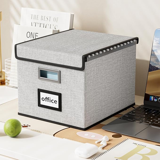 Huolewa File Organizer Box with Lid, Collapsible File Folder Organizer for Office Document Storage, Filing Box with Plastic Slide for Letter/Legal Size Hanging Files, Light Grey