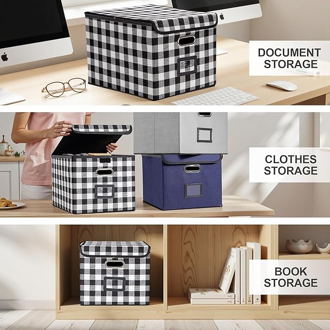 Collapsible File Box with Lid & Plastic Slide - Hanging Document Organizer for Office/Home, 14.96x12.6x10.83 Inch,Black and White Lattice, 2 Pack (No Folders Included)