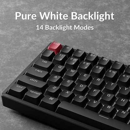 Keychron K2 75% Layout QMK Wireless and Wired Options Mechanical Keyboard Super Banana Switch, Paired with Shine-Through Double-Shot PBT Keycaps for Mac Windows-Version 3