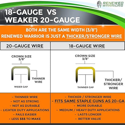 T50 Galvanized Staples – Heavy Duty 3/8" Crown, 1/4" Inch Leg Length – Fits All T50 Staple Guns – Forged in Fire & Ice (10) 500 Packs or 5000