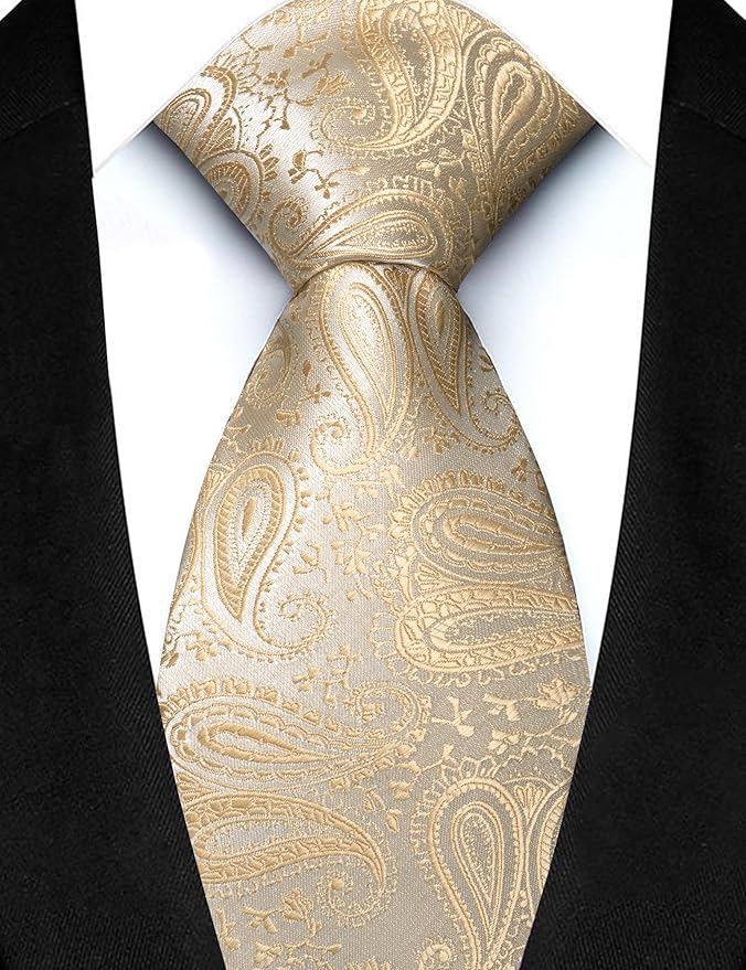 JEMYGINS Mens Paisley Tie and Lapel Pin Necktie Pocket Square and Tie Clip with Sets for Business Casual 4PCS