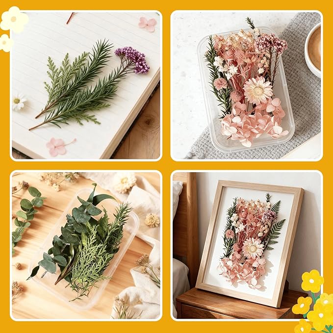 2PCS Dried Flowers Kit, Natural Dried Flowers Kit for DIY Crafts, Scrapbook, Card Making (Stye2_13)