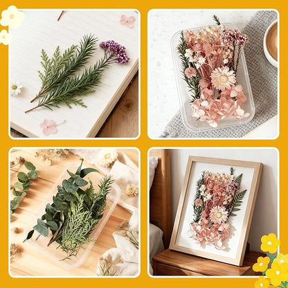 2PCS Dried Flowers Kit, Natural Dried Flowers Kit for DIY Crafts, Scrapbook, Card Making (Stye2_13)