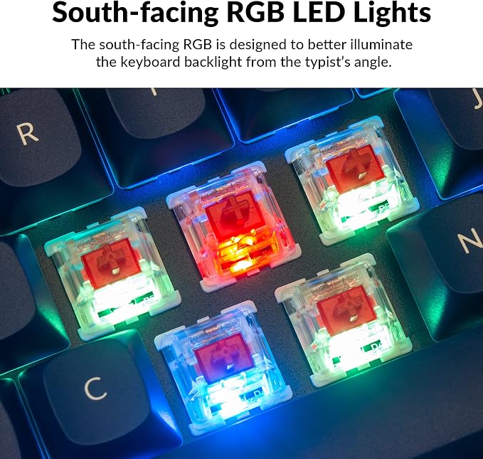 Keychron Q2 Wired Custom Mechanical Keyboard, QMK/VIA Programmable Macro, Full Aluminum, Hot-Swappable Gateron G Pro Red Switch, 65% Layout Double Gasket Compatible with Mac and Windows - Blue