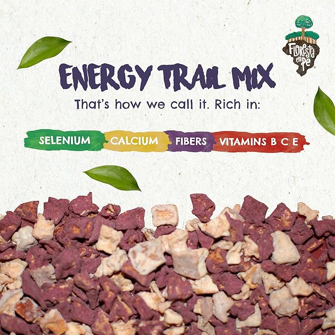 Snack Açaí Trail Mix 7 oz – The True Organic Brazil Nuts Roasted + Açaí Fruit Nibs + Cupuaçu Fruit Nibs – Nutrient-Rich and Practical Combo – Fresh, Vegan and Gluten Free – Forest Up