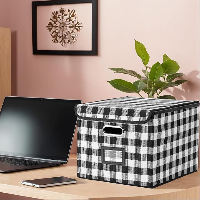 Collapsible File Box with Lid & Plastic Slide - Hanging Document Organizer for Office/Home, 14.96x12.6x10.83 Inch,Decorative Home File Bin,Black and White Lattice, 1 Pack