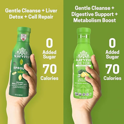 Karviva Organic Juice Cleanse for Liver Detox & Hormone Health - Ancient Remedies with Broccoli Sprouts, Aloe Vera, Kale, Kiwi, Ginger - Low-Sugar, Prebiotic, Fiber, Antioxidants (6 BPA-Free, Toxin-Free Bottles, 12 oz Each)