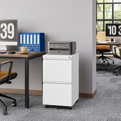 2 Drawer File Cabinet with Lock，Locking Filing Cabinet Under Desk,Rolling File Cabinets for Home Office/Legal/Letter Size,Fully Assembled,White